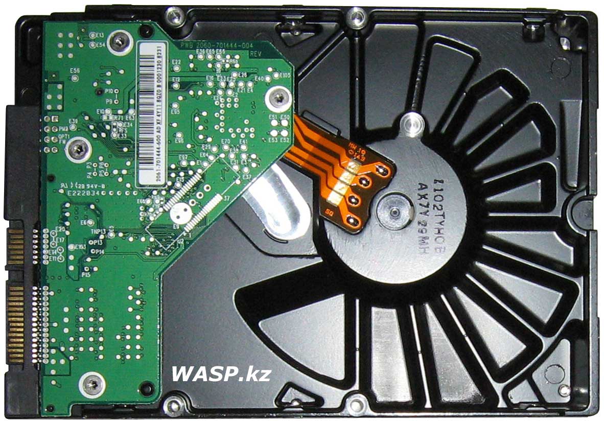 Жесткий диск Western Digital обзор HDD SATA2 Жесткий диск Western Digital обзор HDD SATA2