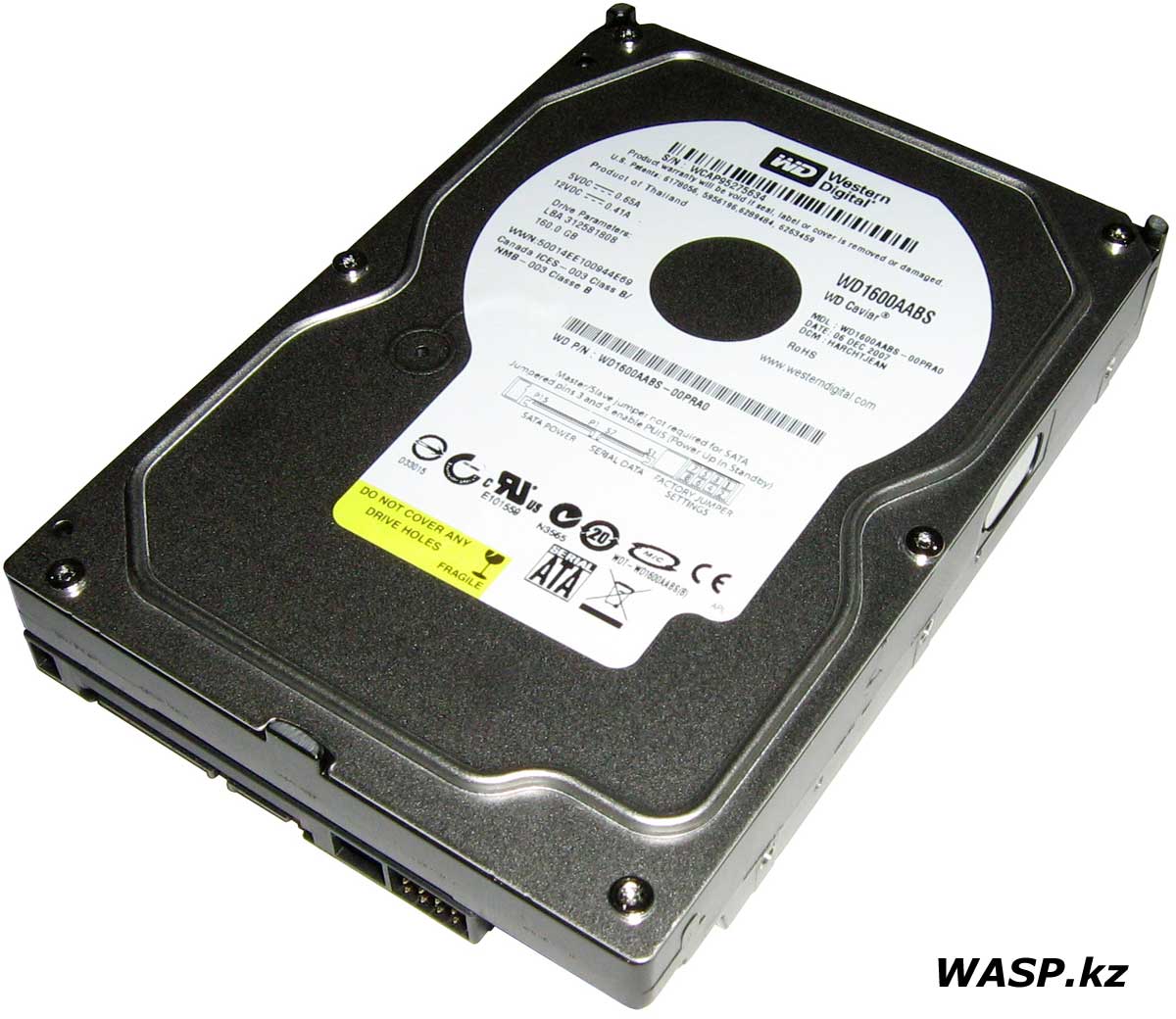 Жесткий диск Western Digital WD 1600AABS, 160GB, SATA-II серия Caviar Жесткий диск Western Digital WD 1600AABS, 160GB, SATA-II серия Caviar