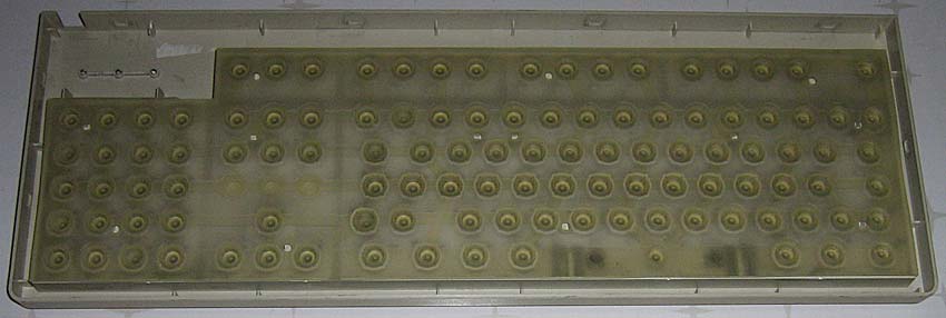 Fujitsu Siemens KBPC S26381-K293-V119 ремонт клавиатуры Fujitsu Siemens KBPC S26381-K293-V119 ремонт клавиатуры