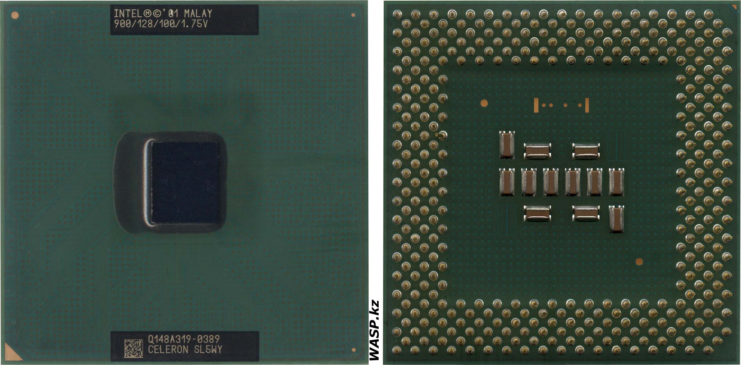 Intel Celeron SL5WY 900/128/100/1.75V обзор CPU Intel Celeron SL5WY 900/128/100/1.75V обзор CPU